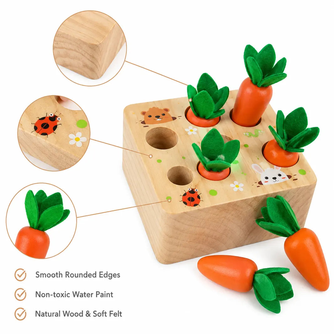Pull & Play Harvest Carrot Toy