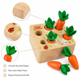 Pull & Play Harvest Carrot Toy